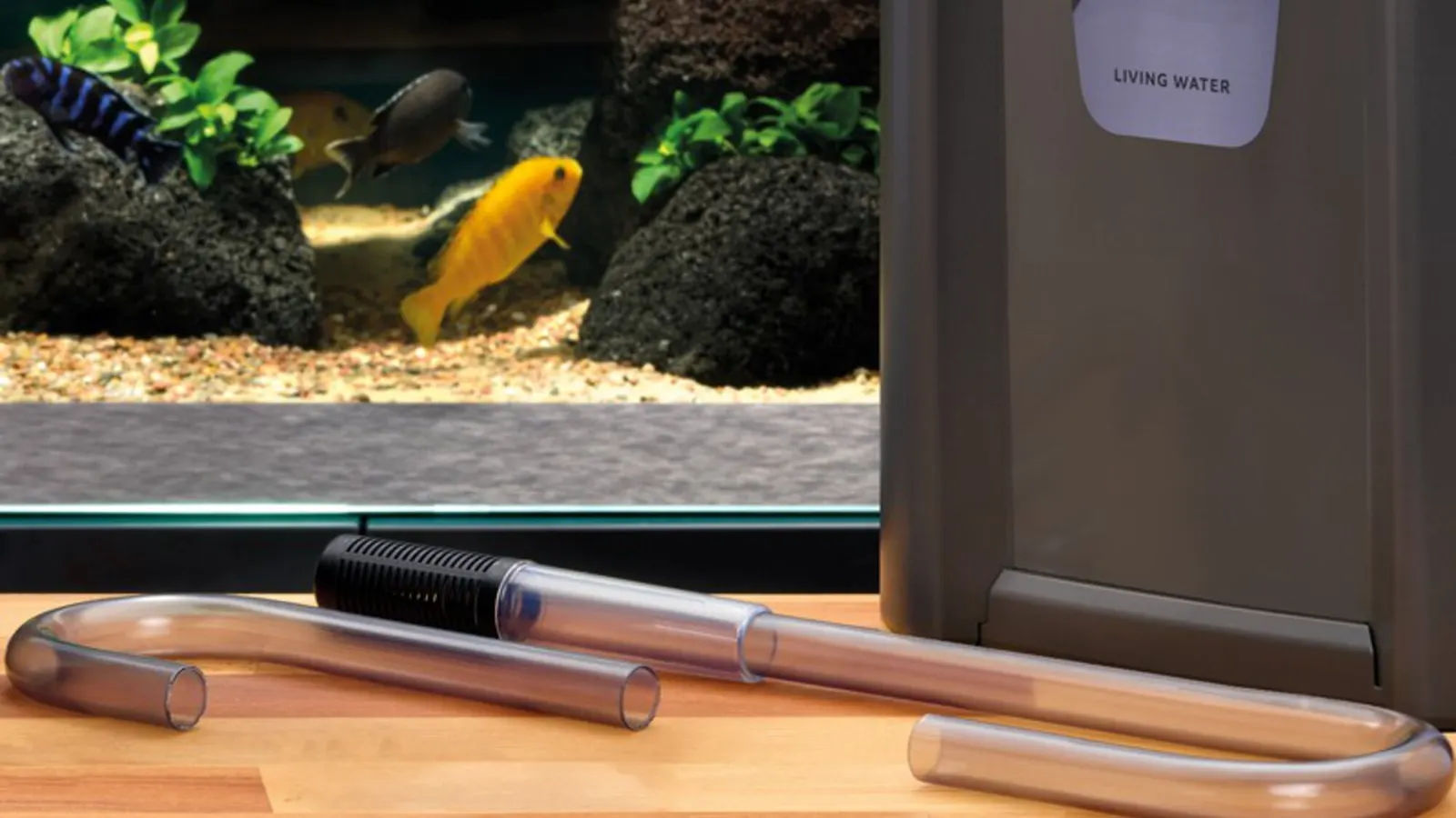 OASE BioMaster2 Thermo ytterfilter ved et akvarium med ciklider, med glassrør til inntak og utløp foran
