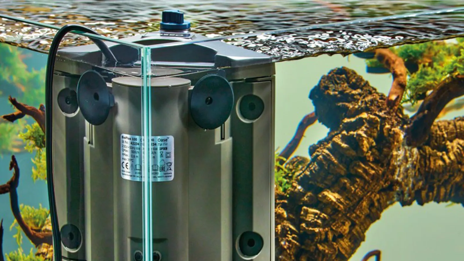 OASE BioPlus innerfilter festet med sugekopper på glasset i et akvarium med drivved og planter