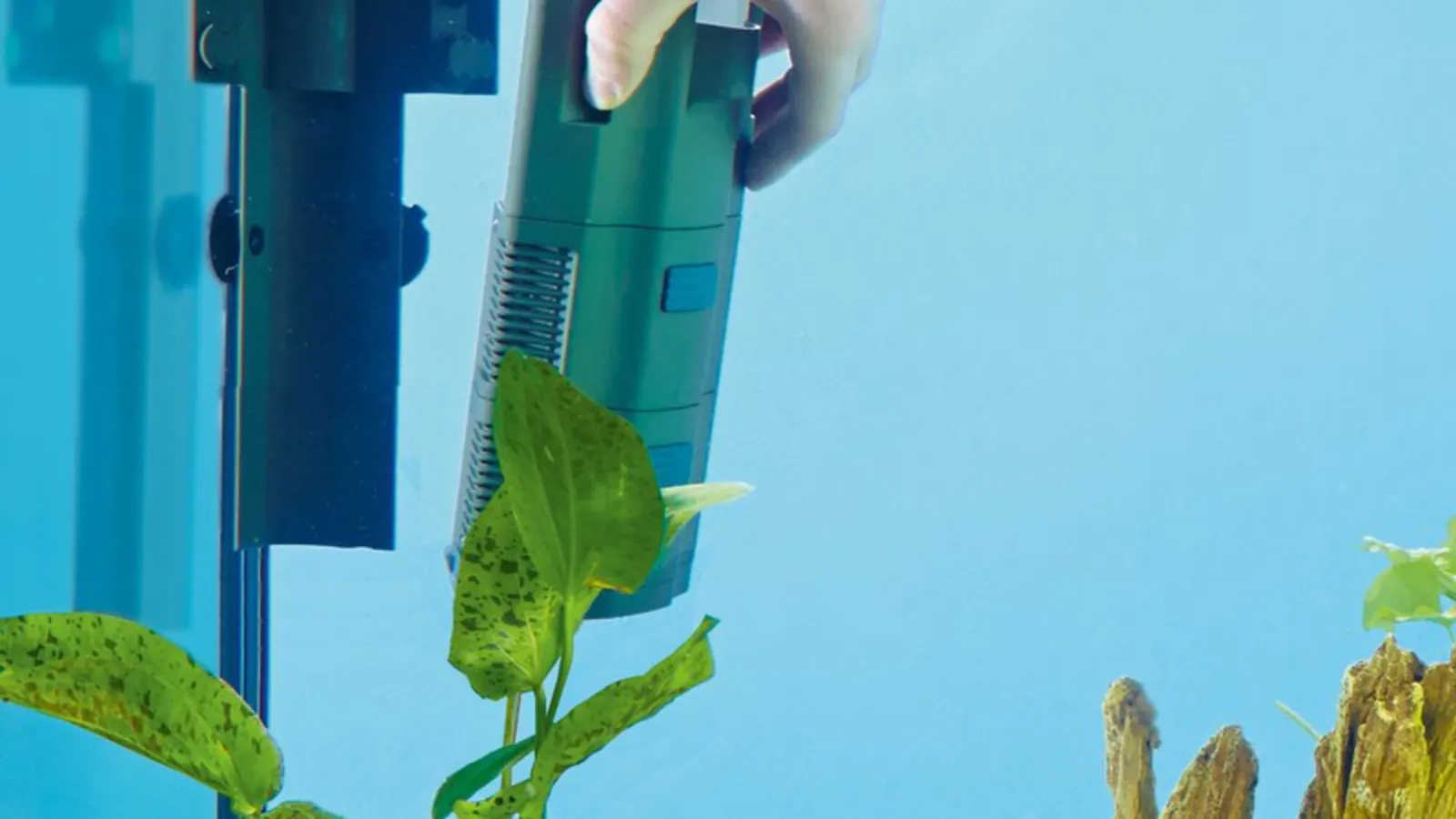 OASE BioPlus innerfilter festet i akvariet under vann, med planter og drivved