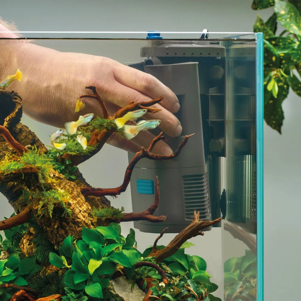 Hånd løfter OASE BioPlus innerfilter ut av akvariet mellom planter og drivved
