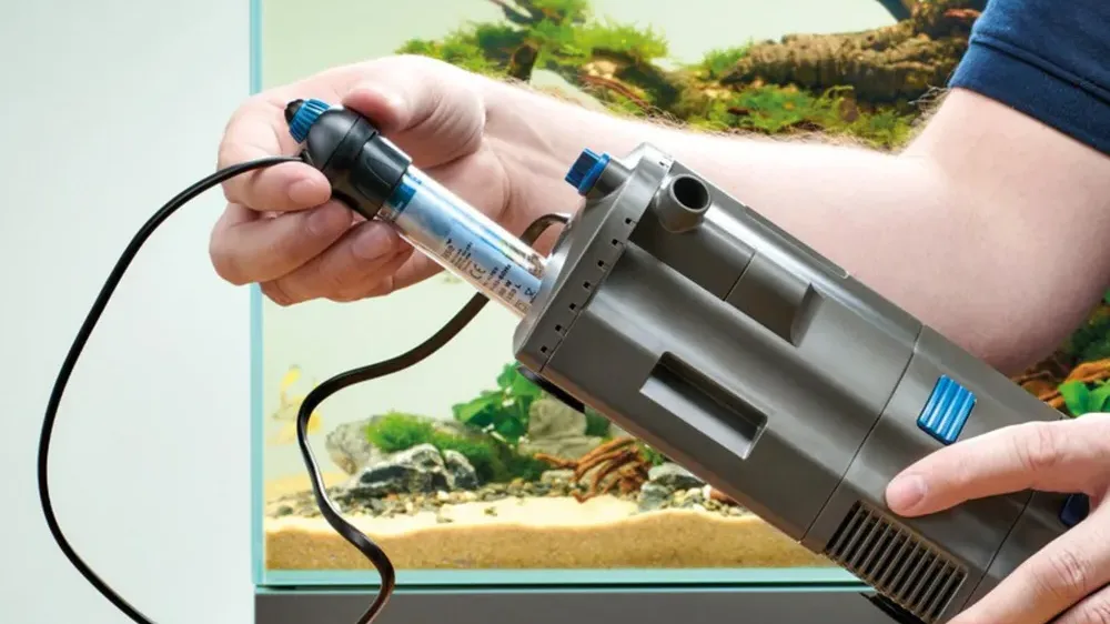 HeatUp-varmeren settes inn i OASE BioPlus Thermo innerfilter foran et plantet akvarium