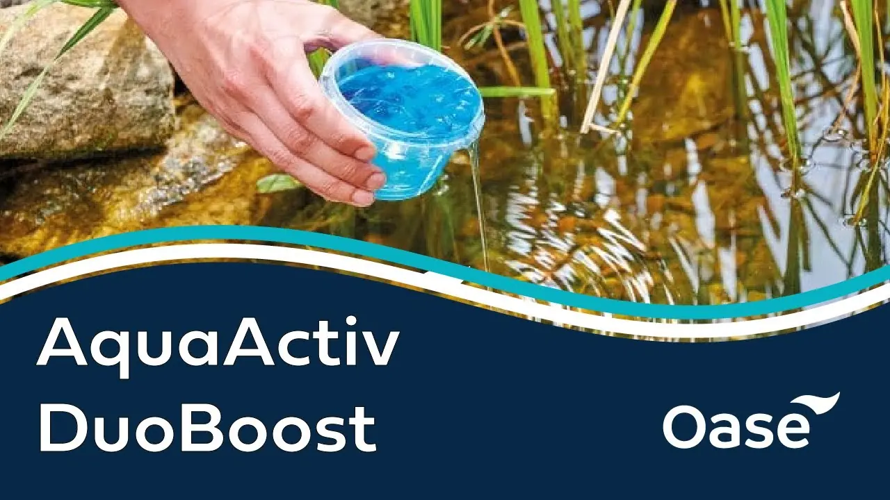 OASE AquaActiv DuoBoost helles i en hagedam