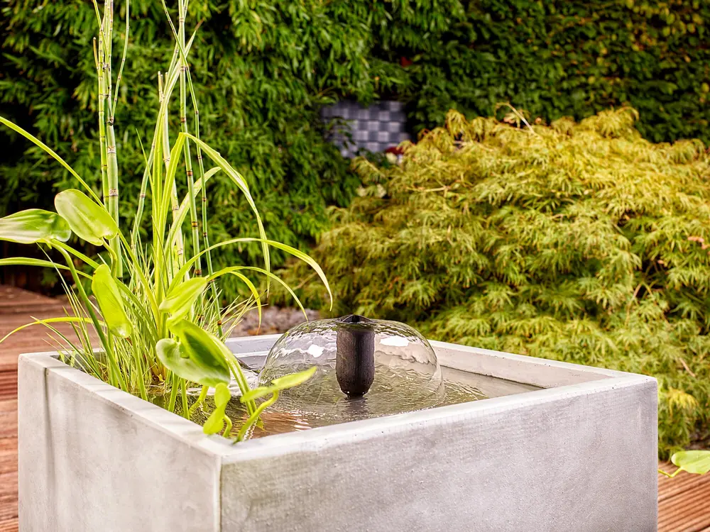 Klokkefontene med Lava-dysen fra OASE Filtral UVC i et lyst betongkar med planter
