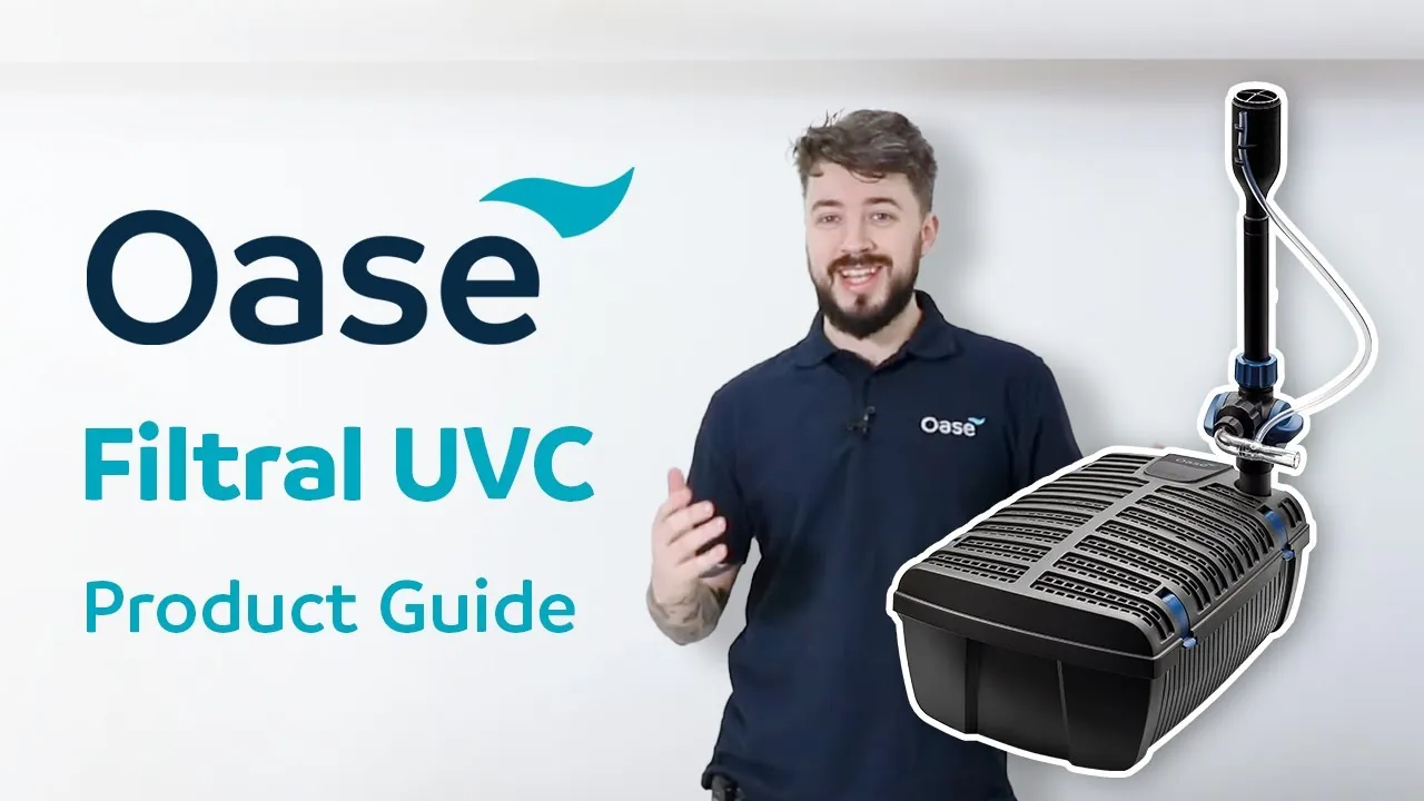 Video der OASE viser Filtral UVC med pumpe, filter, UV-C og fontene i én enhet