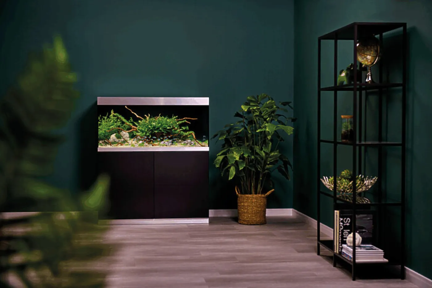 OASE HighLine 300 sort med planteakvarium mot en grønn vegg i et elegant hjemmekontor