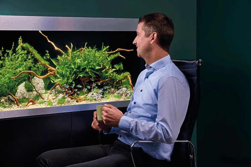 Mann ved skrivebordet ser på planteakvariet i OASE HighLine 300 sort