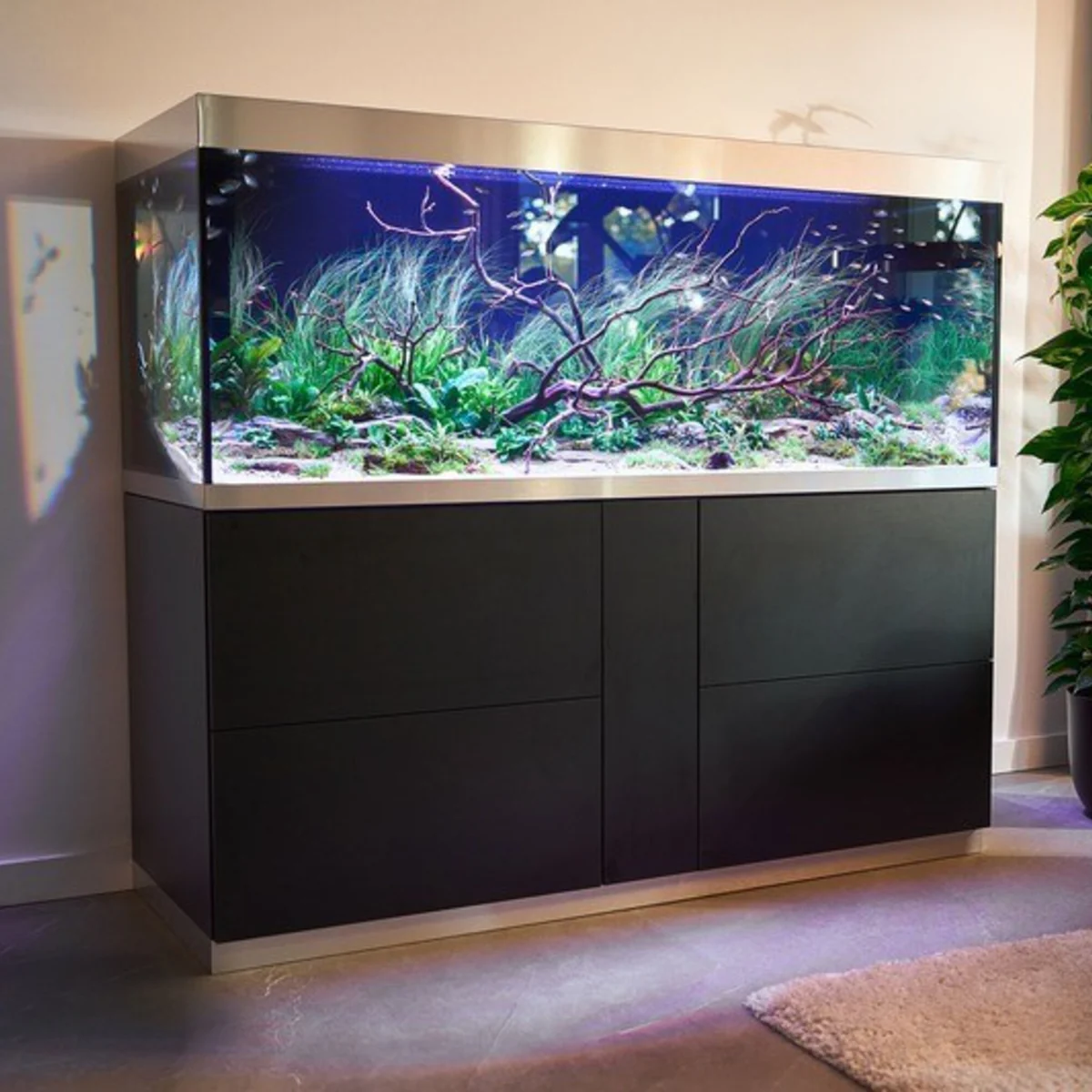 OASE HighLine 600 sort med stort akvarium i stuen