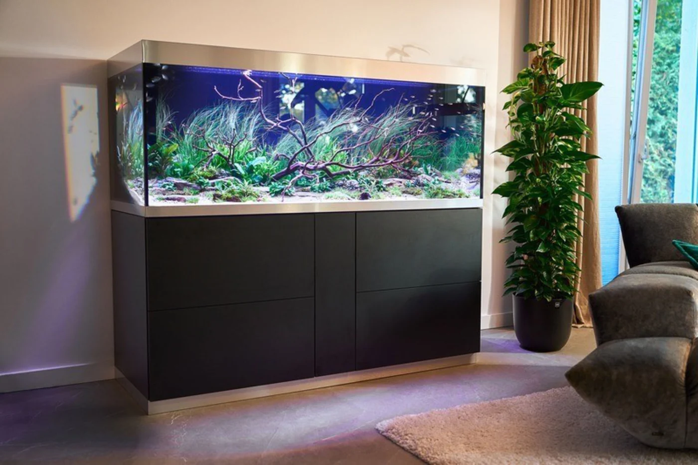 OASE HighLine 600 sort med stort akvarium i en stue med grønne planter
