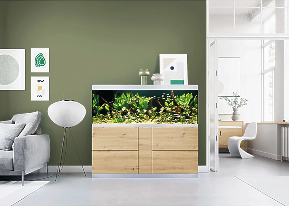 OASE HighLine 600 Wild Oak med planteakvarium mot en olivengrønn vegg