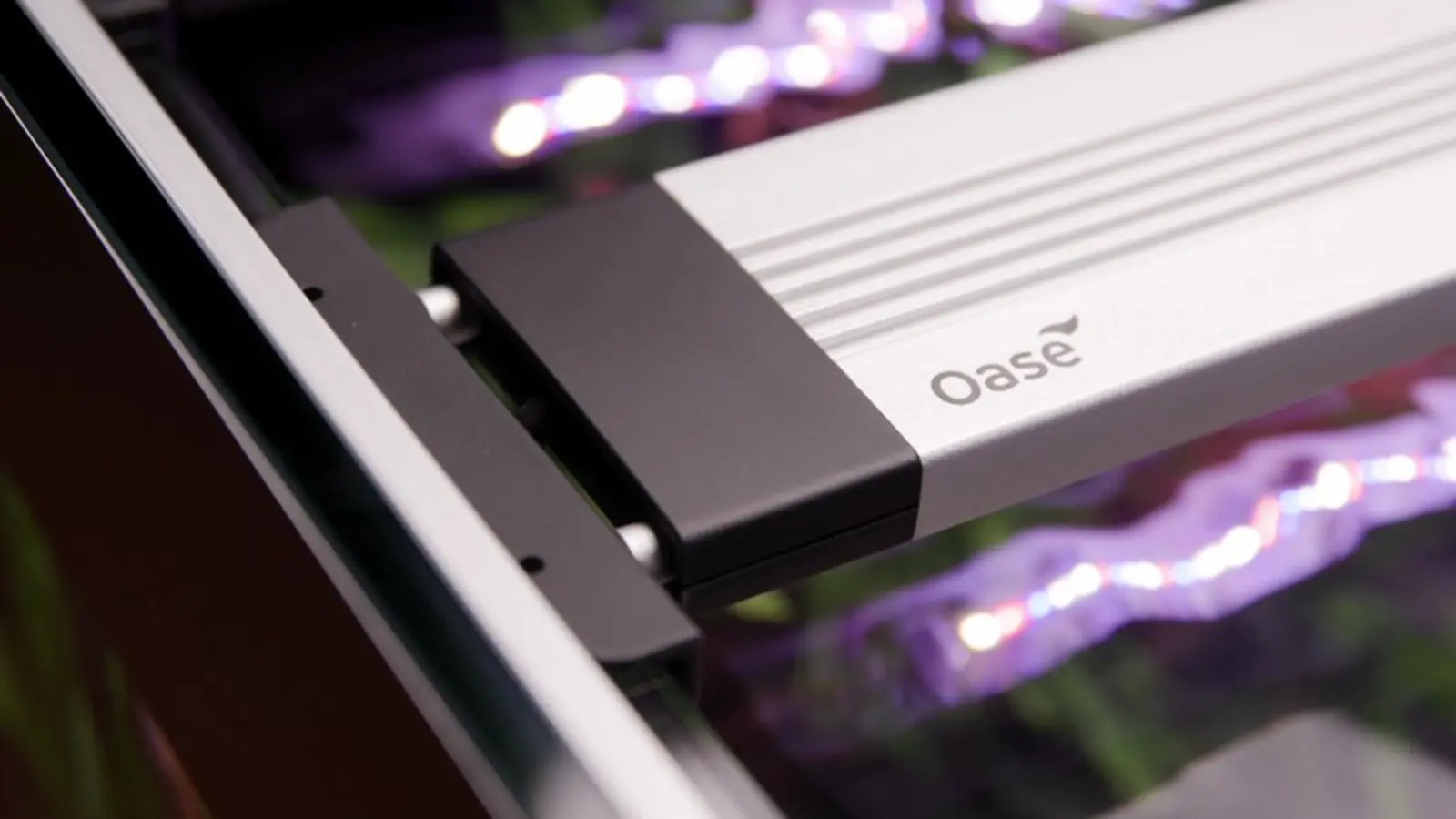 OASE MotionControl LED over akvariekanten, lampen som får strøm fra EAC Transformer 120 W