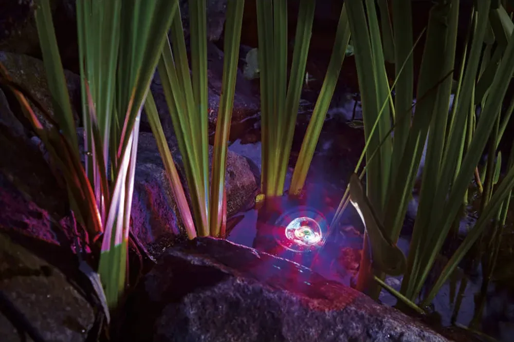 OASE ProfiLux Garden LED RGB lyser rødt og blått mellom siv i dammen om kvelden