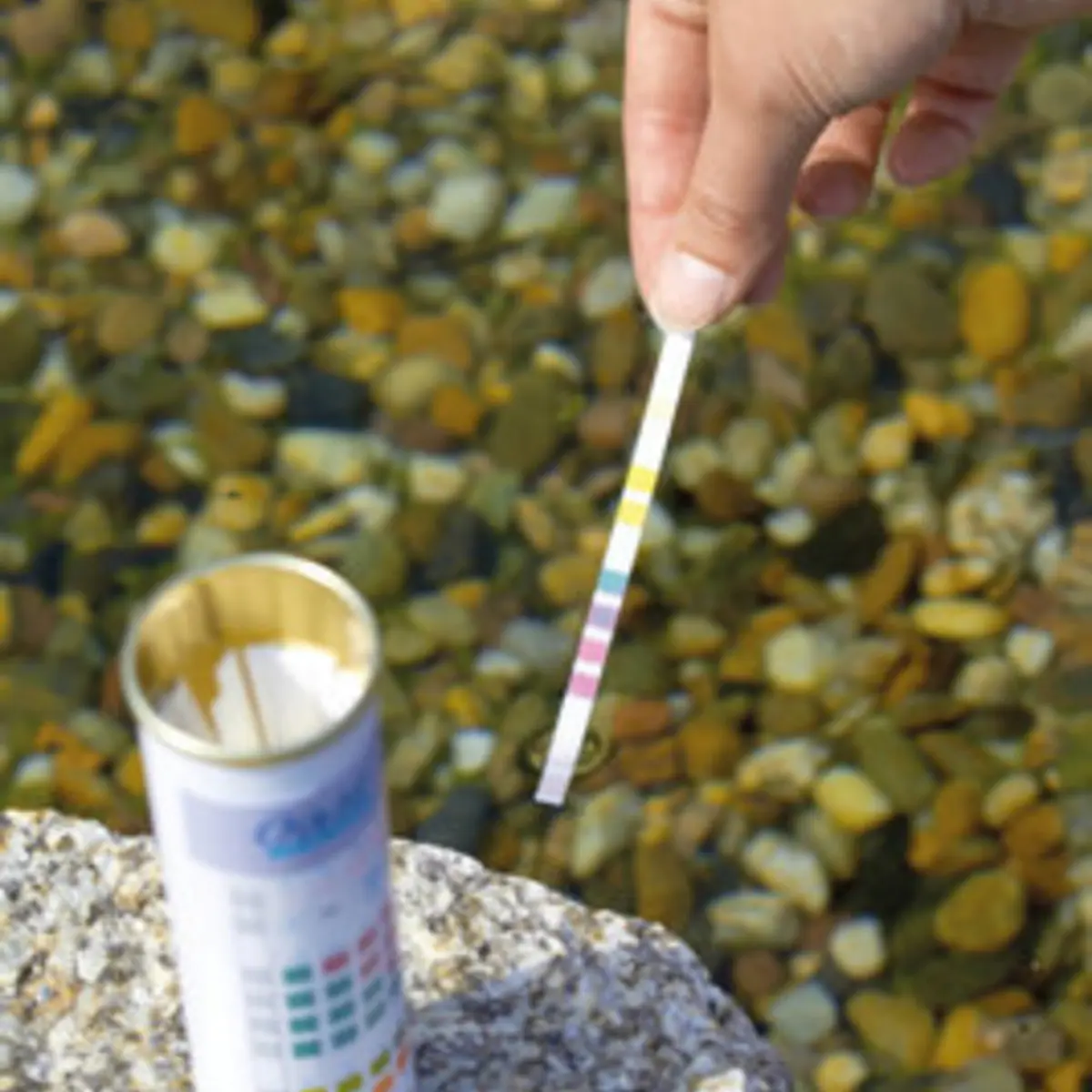 Åpen boks med OASE QuickSticks på stein ved dammen og en teststrimmel i hånden
