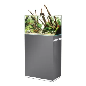 OASE ScaperLine 60 grå: åpent akvarium med naturlig layout på grått skap