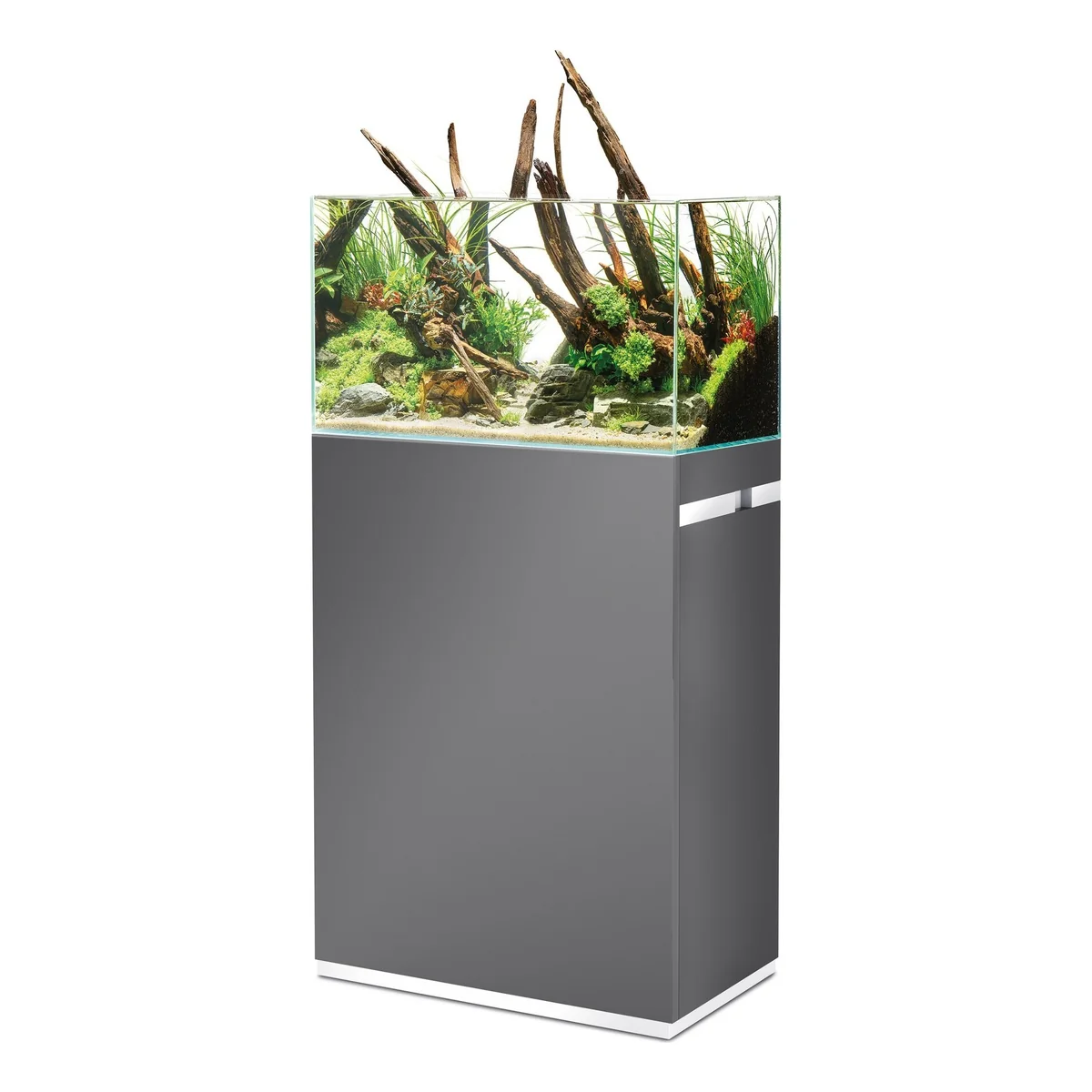 OASE ScaperLine 60 grå: åpent akvarium med naturlig layout på grått skap