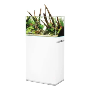 OASE ScaperLine 60 hvit: åpent akvarium med naturlig layout på hvitt skap