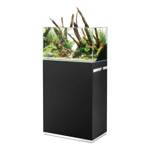 OASE ScaperLine 60 sort: åpent akvarium med naturlig layout på sort skap