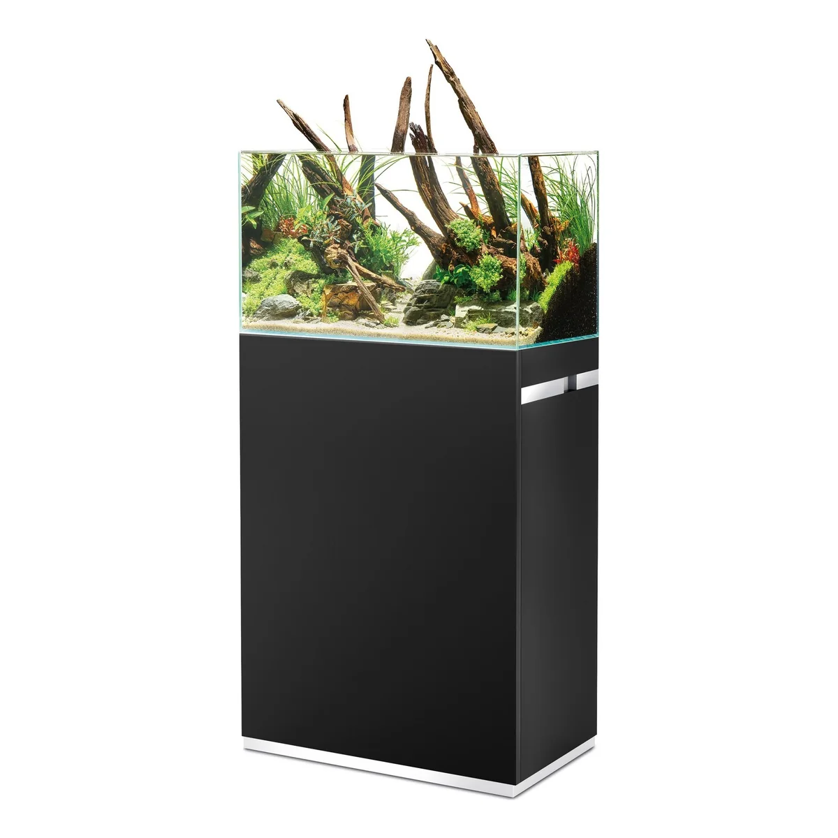 OASE ScaperLine 60 sort: åpent akvarium med naturlig layout på sort skap