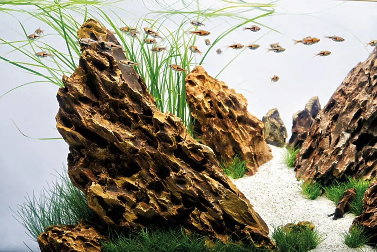 Steinlandskap med høyt gress og hvit sand i et OASE ScaperLine 90 akvarium