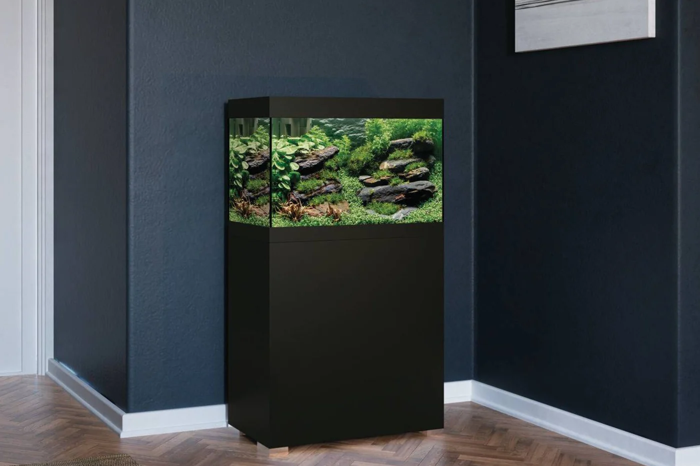 OASE StyleLine 125 sort med planteakvarium mot en mørk blå vegg