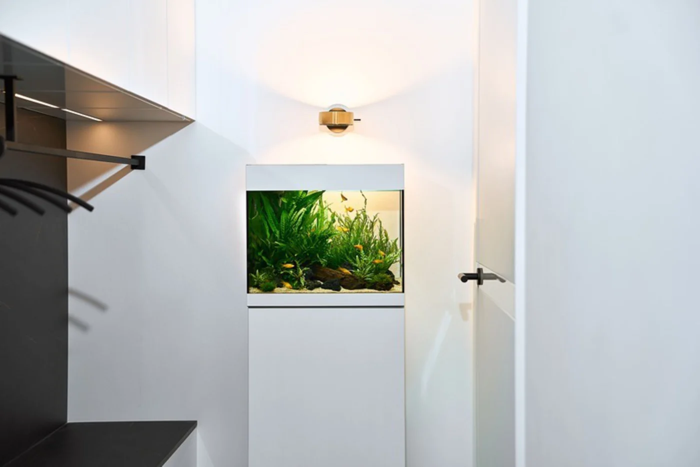 Hvitt OASE StyleLine-akvarium i en lys gang med knagger og vegglampe