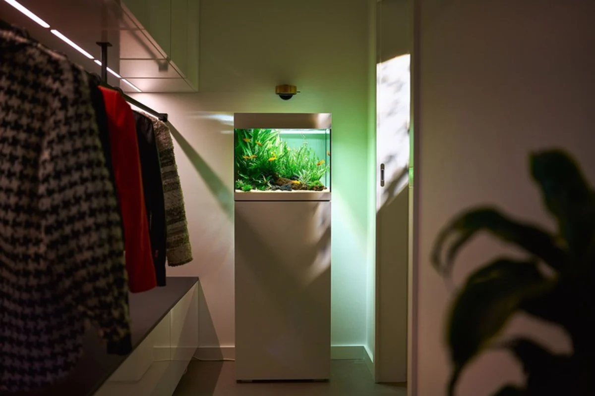 Hvitt OASE StyleLine-akvarium lyser grønt i gangen om kvelden