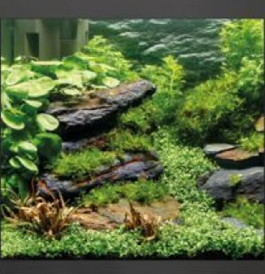 Planteakvarium med stein, mose og bladplanter i OASE StyleLine 85