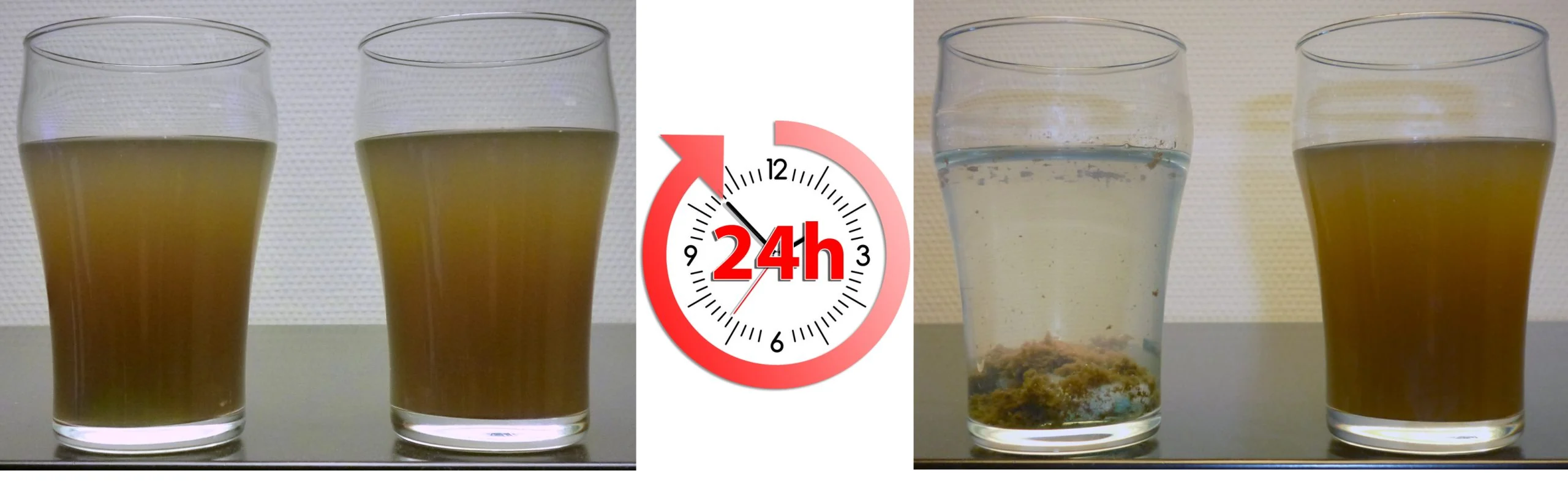 Pond Zinger: vannglass før og etter 24 timer