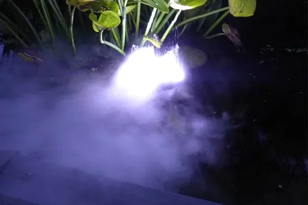 Tåkemaskin lyser opp tåken med hvitt LED-lys under vannplanter i en mørk hagedam