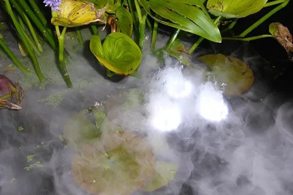 Hvitt LED-lys skinner gjennom tåke mellom vannplanter og blader i en hagedam om kvelden